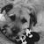 Annette Sturdavant's profile image