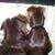 Diane M Zukowski's profile image