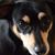 Anne Selvie's profile image