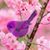 Marianne Smith's profile image