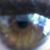 Alex Casique's profile image
