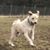 Lisa Price Schifferdecker's profile image