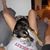 Marley Shain Rall's profile image