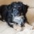 Dawn Prothro's profile image