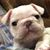 Debbie Binkley Highfill's profile image