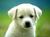Kumar P.'s profile image