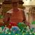 Michele Romans Schwarzmann's profile image