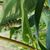 Sandi Flanagan-Geisler's profile image