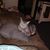Jeff Ingmire's profile image