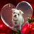 Paula Miller's profile image