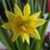 Darby Alison Grace Beranek's profile image