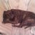 Lacey Clawges's profile image