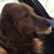 Kimberly Marie's profile image