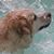 Debbie Furry's profile image