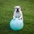 Sonya Shaner's profile image