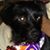 Missy Turcotte Guptill's profile image