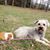 Jennifer Robinson Goad's profile image