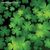 Debbie Lowton Hewitt's profile image