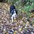 Laura Abraham's profile image