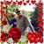 Cheryl Masterson's profile image
