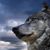 Jose Luis Olvera's profile image