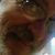 Bruce Beckwith's profile image