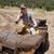 Victoria Papan's profile image