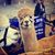 Misty Lapetina's profile image