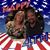 Sandy Krajewski's profile image