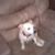 Renea Mercer's profile image