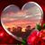 Liz Schiavone's profile image