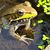 Dave Hoover's profile image