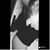 Skye Onorato's profile image