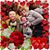 Leah Cobler's profile image