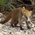 Kellina Griffes's profile image