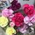 Tracy Miller Spohn's profile image