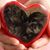 Kimberly J Weaver's profile image