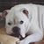 Patty Witthaus's profile image