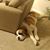 Lita Helen Simpson's profile image