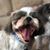 Katie Lewis's profile image