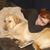 Emily Whitis's profile image