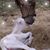 Susie Barnes's profile image