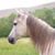 Sherry Dillon's profile image