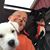 Ron Cauthen's profile image