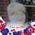 Melissa Reeves Dalton's profile image