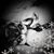 Michelle Gode's profile image