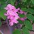 Gail Principato Perry's profile image