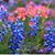 Vicki Lynne Montgomery's profile image