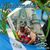 Carlos Y Noralba Solis's profile image