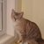 Olga Quealy's profile image